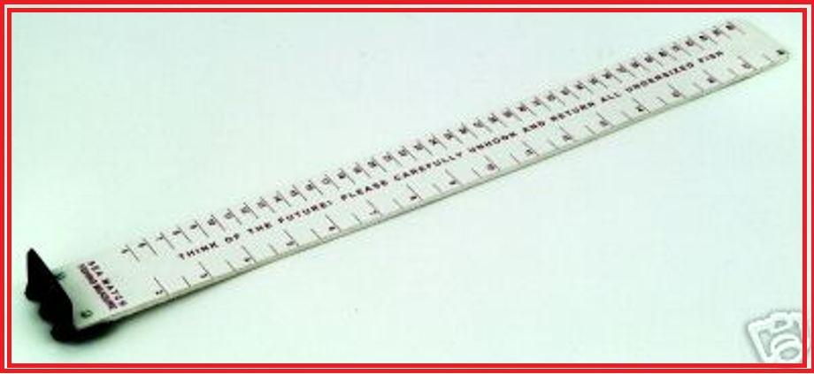 fish measure ruler